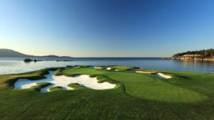 Read more about the article Junior aces par-3 17th at Pebble Beach in winning First Tee portion of Champions event