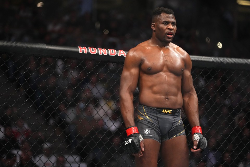 You are currently viewing Francis Ngannou comeback card complete with fights for Ronda Rousey rival and Leon Edwards brother