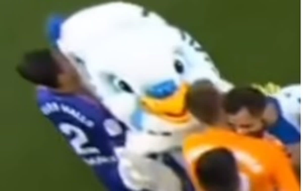 You are currently viewing Spanish footballer found guilty of groping female mascot in parakeet costume