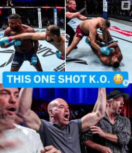 Read more about the article Dana White nearly falls off seat at stunning KO then heads to Ireland to watch undefeated boxer fight man who has never been finished