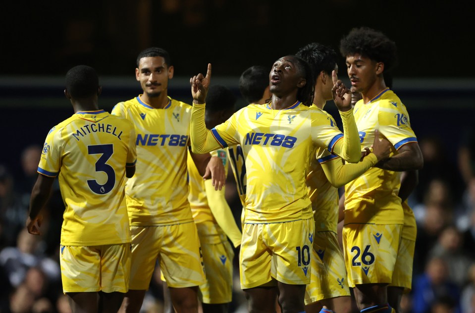 You are currently viewing Crystal Palace fans are left in the dark by curious player omission in squad photo