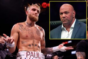 Read more about the article Jake Paul stunned as Jackass star Steve-O tells story about  the time Dana White ‘dipped out’ of UFC event