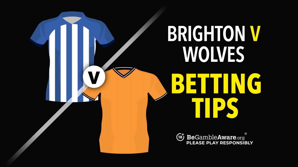 Read more about the article Brighton v Wolves preview, odds and betting tips