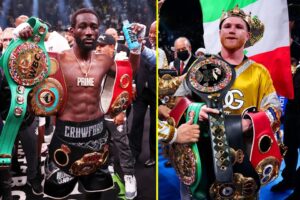 Read more about the article Turki Alalshikh makes major U-turn on Canelo Alvarez vs Terence Crawford fight as the Mexican superstar receives a clear message at UFC 306