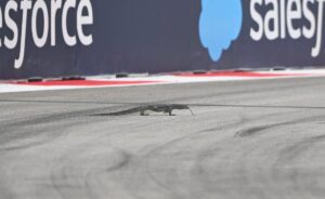 Read more about the article Lizard on F1 track disrupts final Singapore Grand Prix practice session