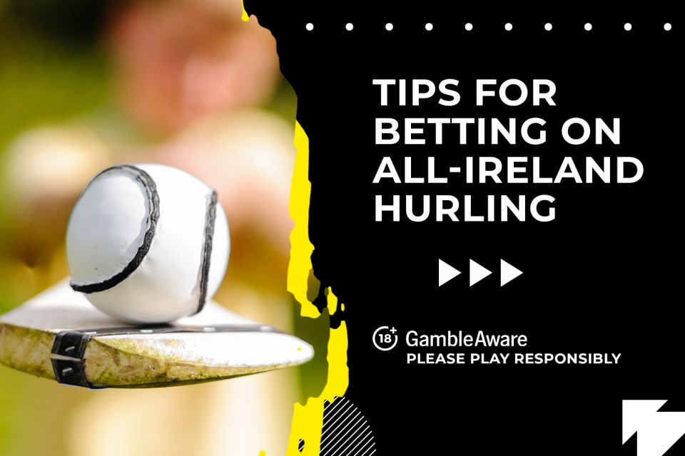 Read more about the article 🍀GAA hurling betting: best betting sites in Ireland 2024