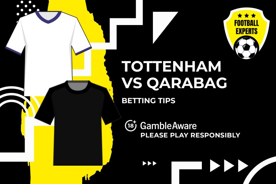 You are currently viewing Tottenham Hotspur vs Qarabag predictions, odds and betting tips