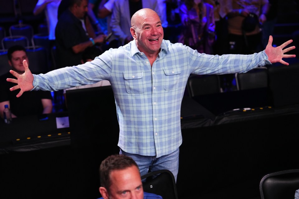 You are currently viewing Huge underdog shocks Dana White with crazy finish on Contender Series to earn UFC contract