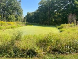 Read more about the article An Ohio 9-hole golf course and clubhouse was auctioned off for more than $300K