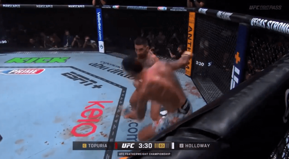 You are currently viewing Ilia Topuria flattens Max Holloway with vicious one-punch knockout at UFC 308