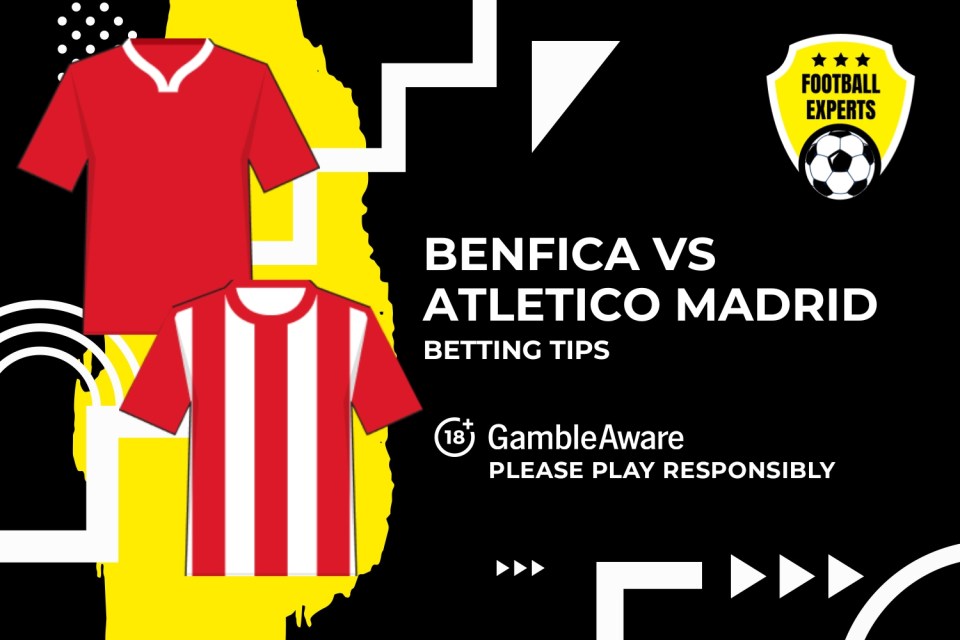 You are currently viewing Benfica vs Atletico Madrid predictions, odds and betting tips