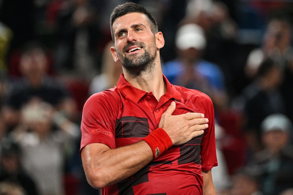 You are currently viewing Novak Djokovic lets slip major hint over surprise new career plan after tennis retirement