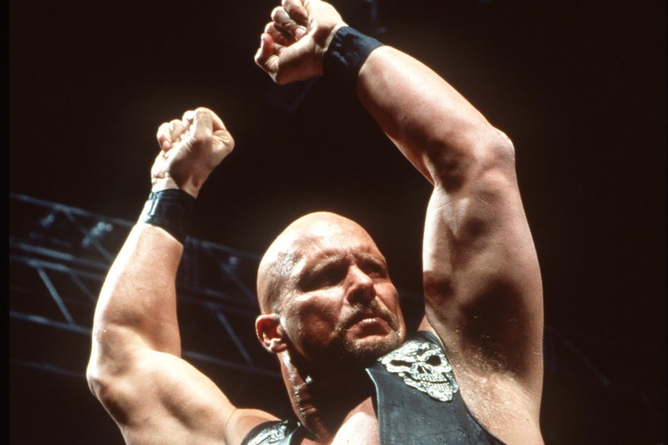 Read more about the article Stone Cold Steve Austin was a destructive WWE force but has swapped The Rock and Triple H battles to be ‘Instagram cat dad’