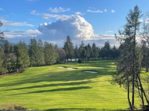 Read more about the article Golfer dies on Oregon course after tree crushes him: ‘Wrong spot at the wrong time’