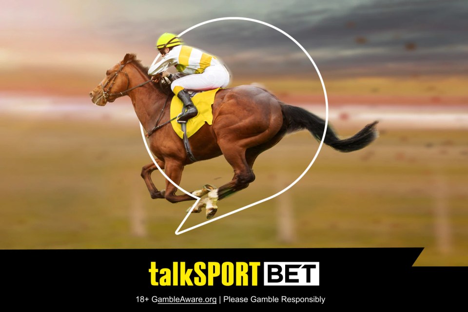 You are currently viewing Breeders’ Cup offer: Bet £10 get £30 in free bets on talkSPORT BET