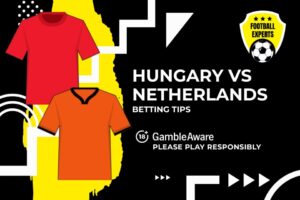 Read more about the article Hungary vs Netherlands predictions, odds and betting tips