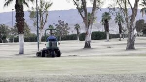 Read more about the article October heat causes concern for annual overseeding of golf courses