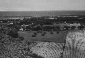 Read more about the article The key moments in the history of golf in the desert, from the first golf courses to the first tournaments