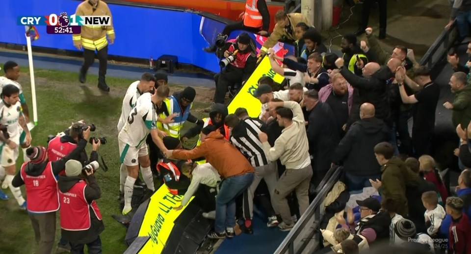 Read more about the article Newcastle stars help fans as Crystal Palace advertising hoarding collapses during celebrations for second time this season