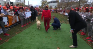 Read more about the article Kirk Herbstreit’s dog causes chaos on College GameDay as fan tries to nail $500,000 kick barefoot