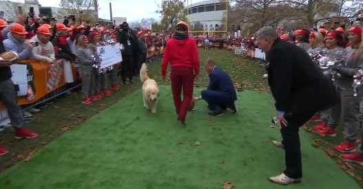 You are currently viewing Kirk Herbstreit’s dog causes chaos on College GameDay as fan tries to nail $500,000 kick barefoot