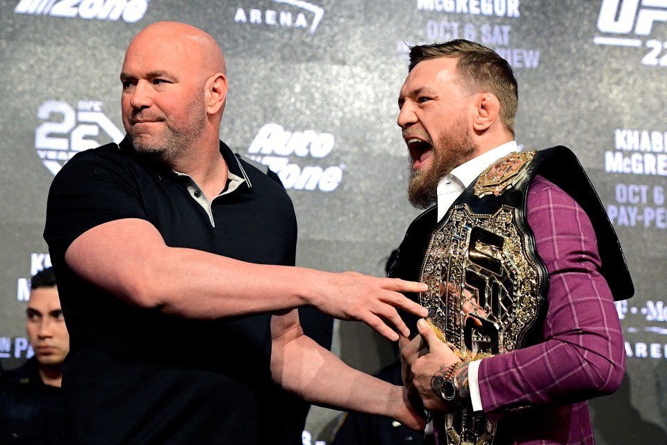 Read more about the article Conor McGregor return runs into another delay as Dana White provides update after UFC 309