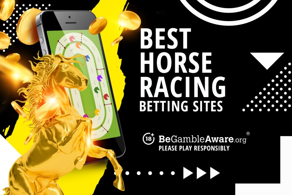 You are currently viewing Best horse racing betting sites November 2024 – Bonuses, tips & odds