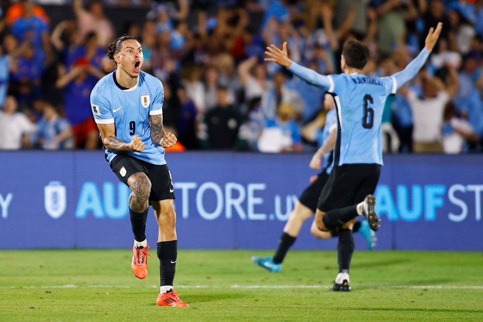 You are currently viewing Darwin Nunez spotted celebrating in ex-Everton defenders face after Uruguay’s late winner