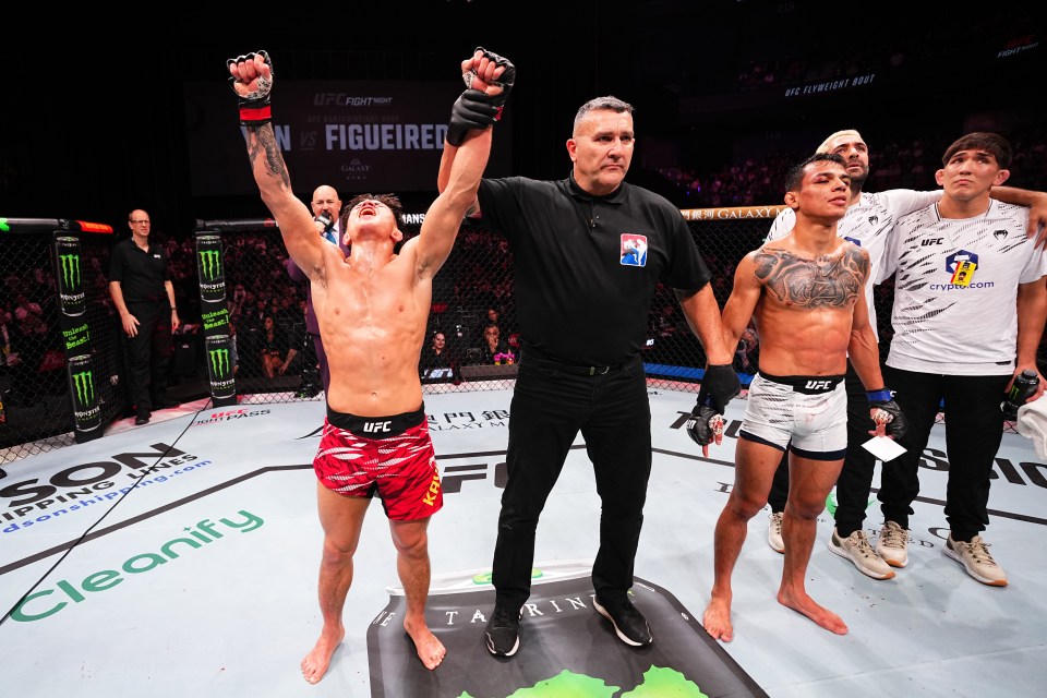 You are currently viewing ‘Savage’ – London-born fighter who stunned Dana White wins on UFC debut to extend undefeated record