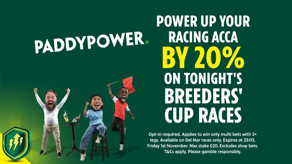 You are currently viewing Breeders’ Cup offer: Power Up your racing acca by 20% on Paddy Power