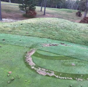 Read more about the article Cape Cod golf course suffers damage from vandals