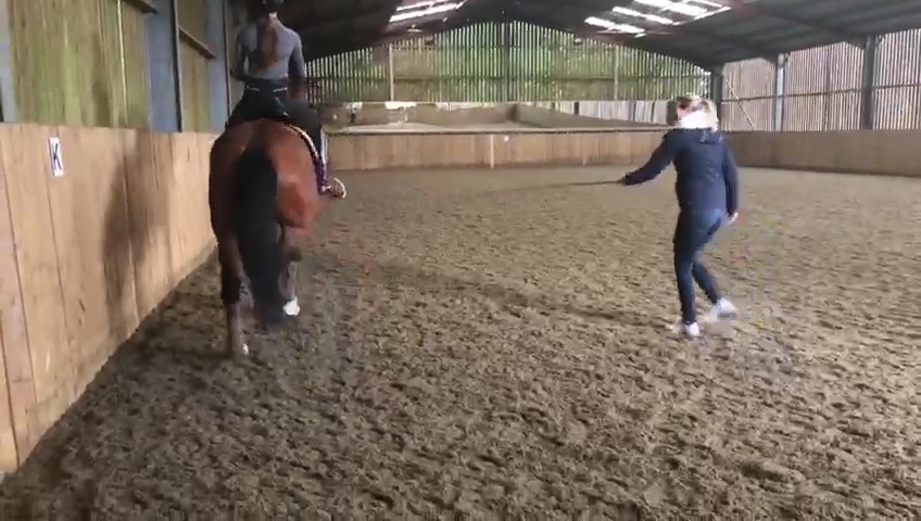 You are currently viewing Shamed Olympic champion discovers fate after horse whipping scandal