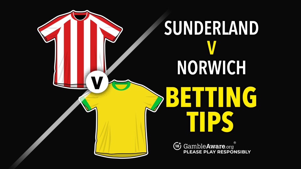 You are currently viewing Sunderland vs Norwich prediction, tips, odds and how to watch
