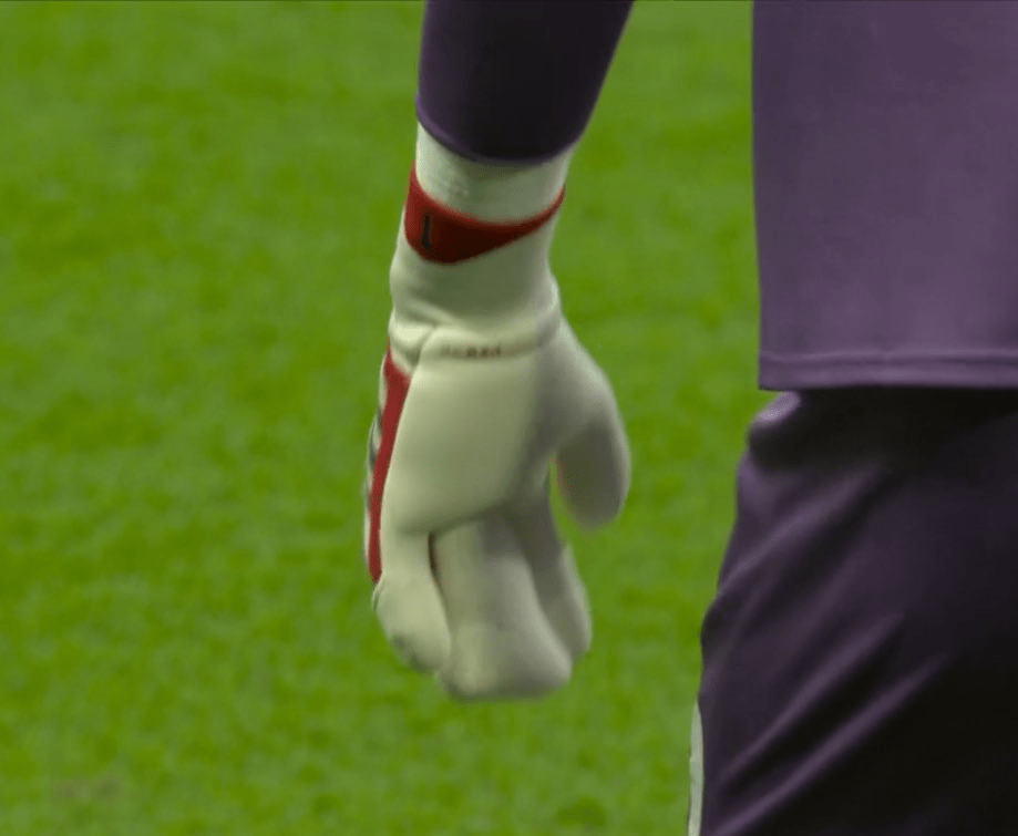 You are currently viewing Why Aaron Ramsdale is wearing unusual glove in Premier League clash for Southampton