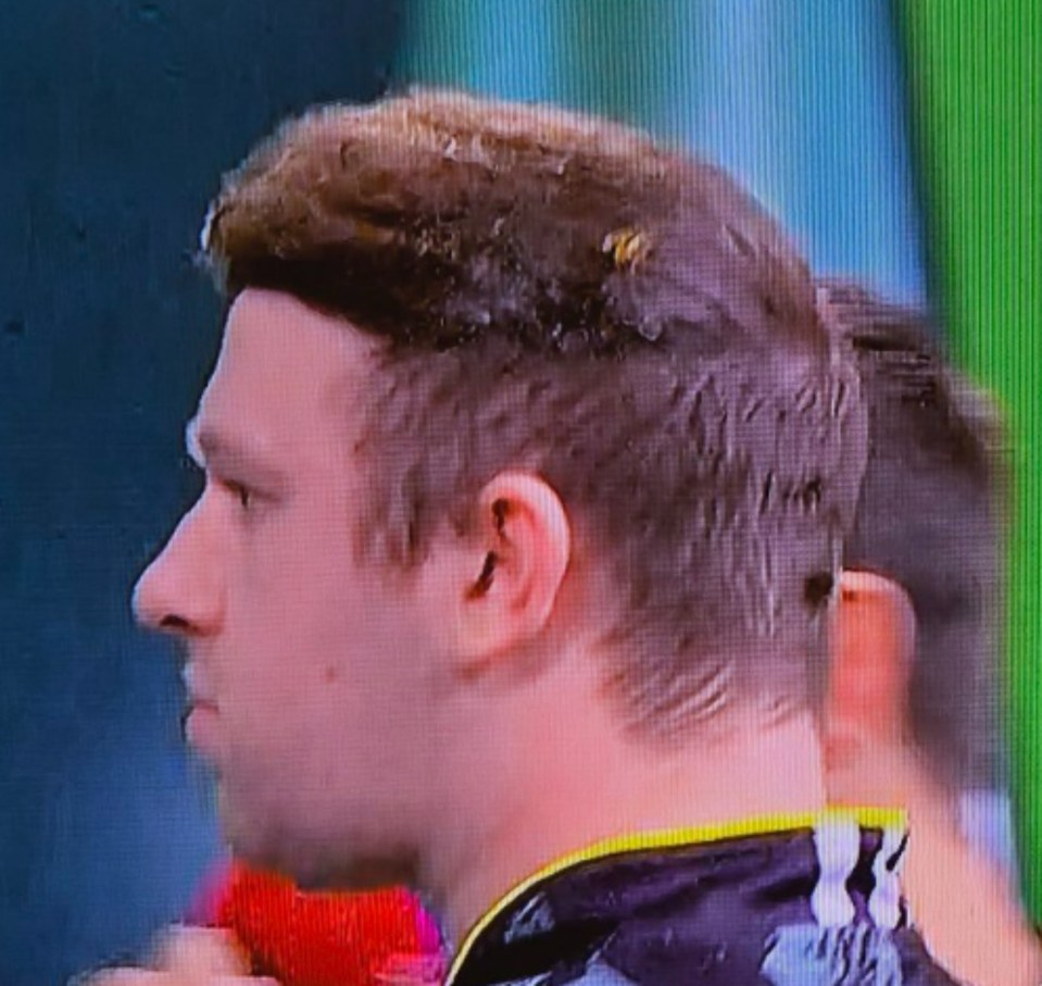 You are currently viewing Darts fans screaming at TV as player survives ‘Ally Pally wasp attack’ to reach quarter-finals