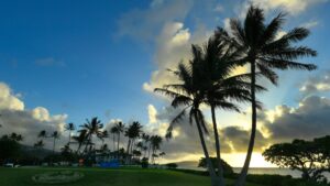 Read more about the article 2025 Sony Open: Players in first full-field event of PGA Tour season