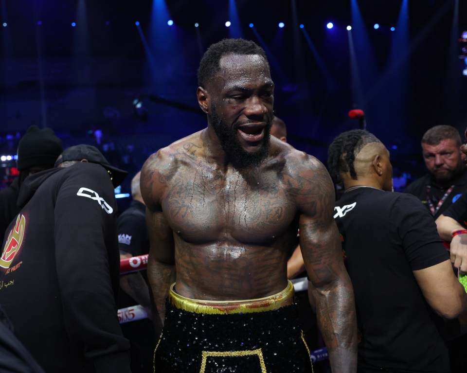 You are currently viewing Deontay Wilder fight offer accepted by journeyman who jumped out of ring and refused to fight opponent