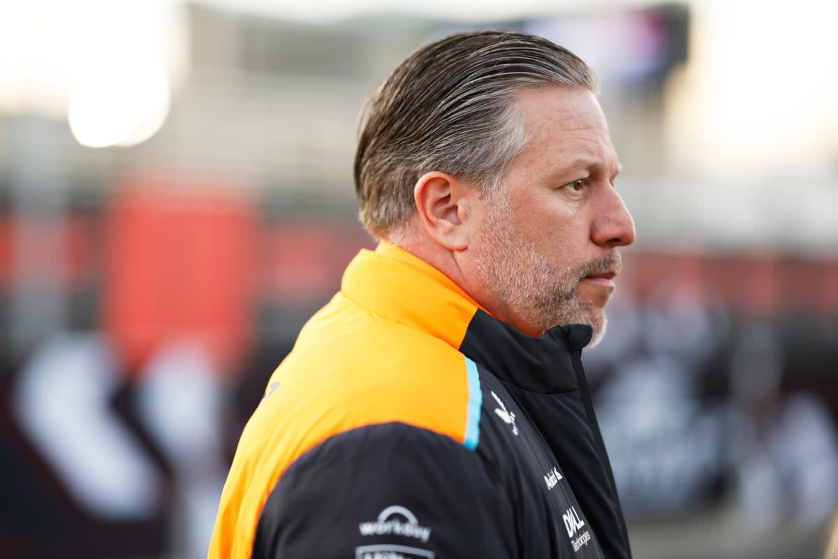 Read more about the article McLaren boss Zak Brown backs full-time F1 stewards after Johnny Herbert saga