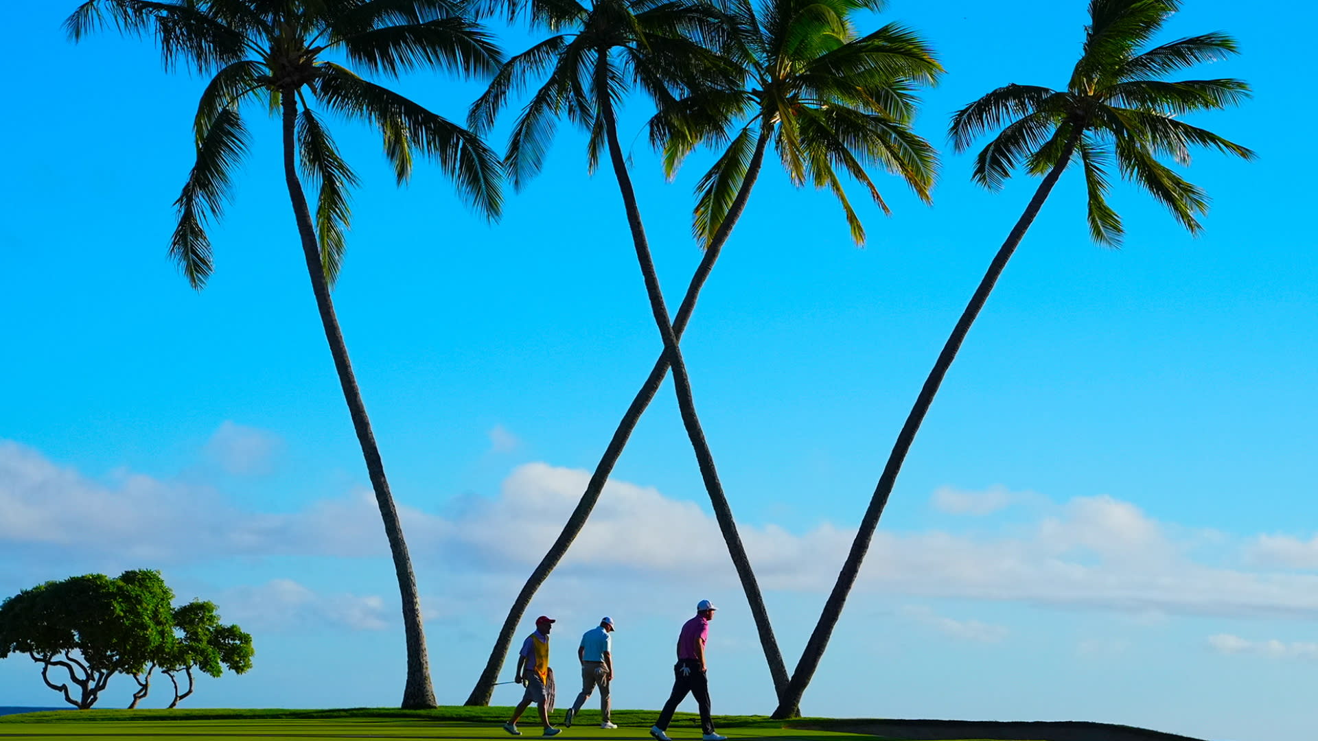 You are currently viewing Crowded leaderboard in Honolulu at Sony Open