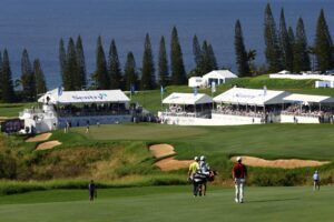 Read more about the article 2025 The Sentry prize money payouts for each PGA Tour player at Kapalua