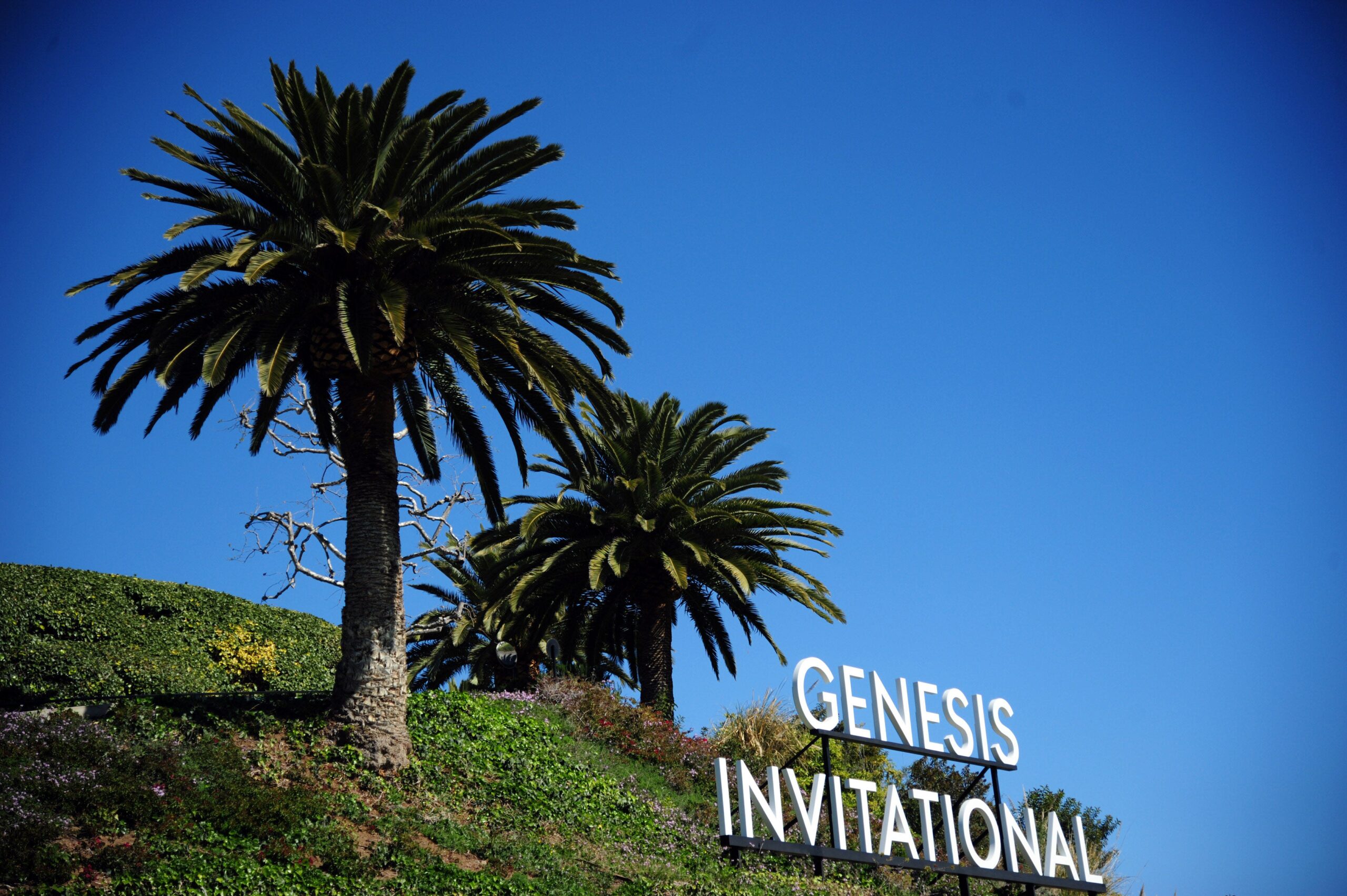 Read more about the article Genesis Invitational to explore new venue for 2025 following LA wildfires