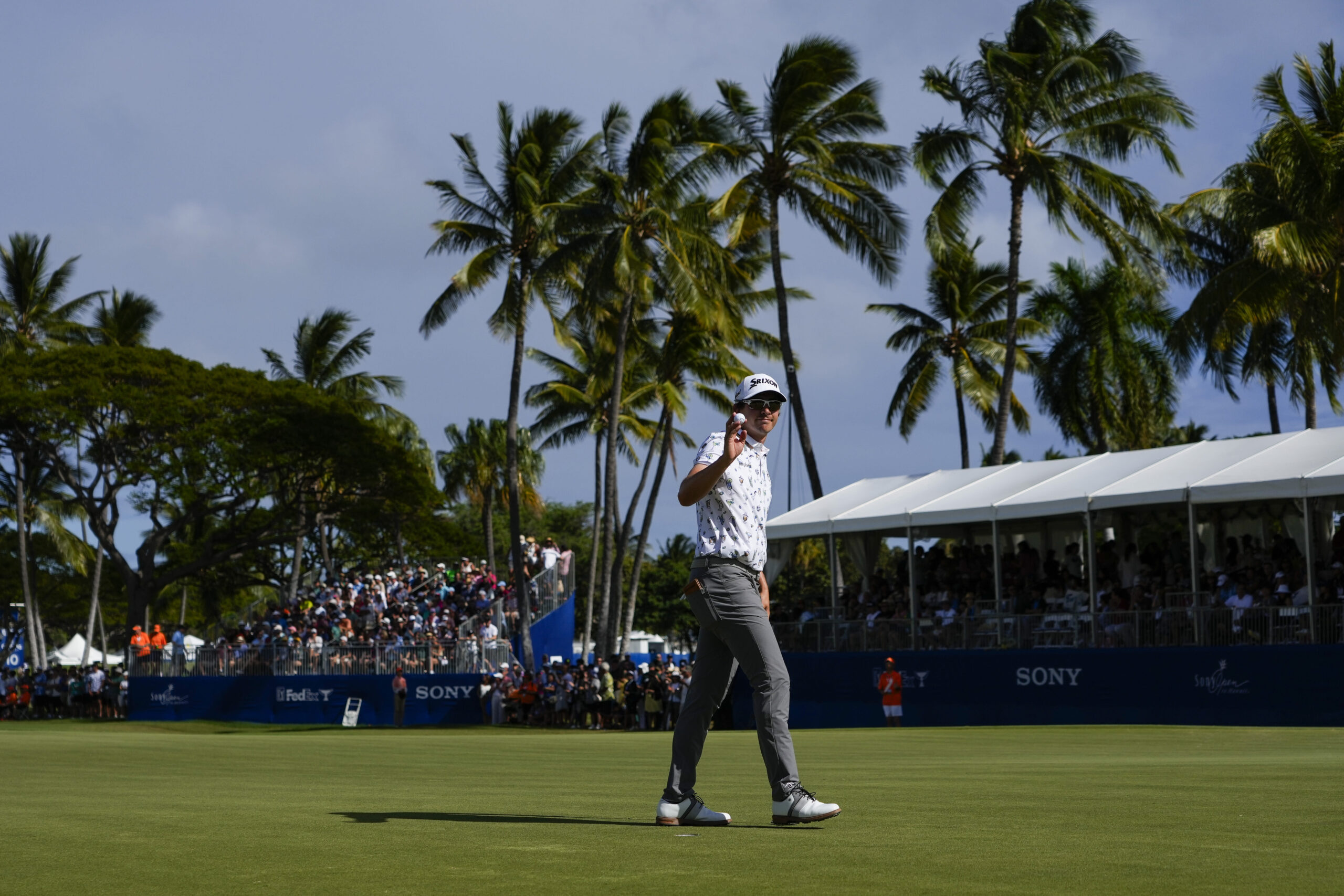 You are currently viewing Nick Taylor wins Sony Open playoff; Britain & Ireland takes Team Cup