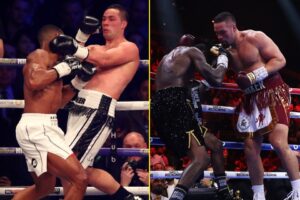 Read more about the article ‘It shook me up’ – I’ve fought Anthony Joshua and Deontay Wilder but nobody hit me harder than ‘The Destroyer’