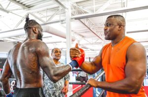 Read more about the article Francis Ngannou and Deontay Wilder could fight under mixed-rules as stunning plan revealed