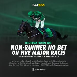 Read more about the article bet365 go NRNB on Cheltenham Festival 2025’s five major races