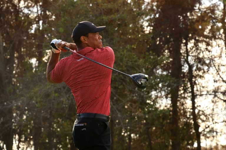 You are currently viewing Golf star Woods pledges support amid ‘unimaginable loss’ of LA fires