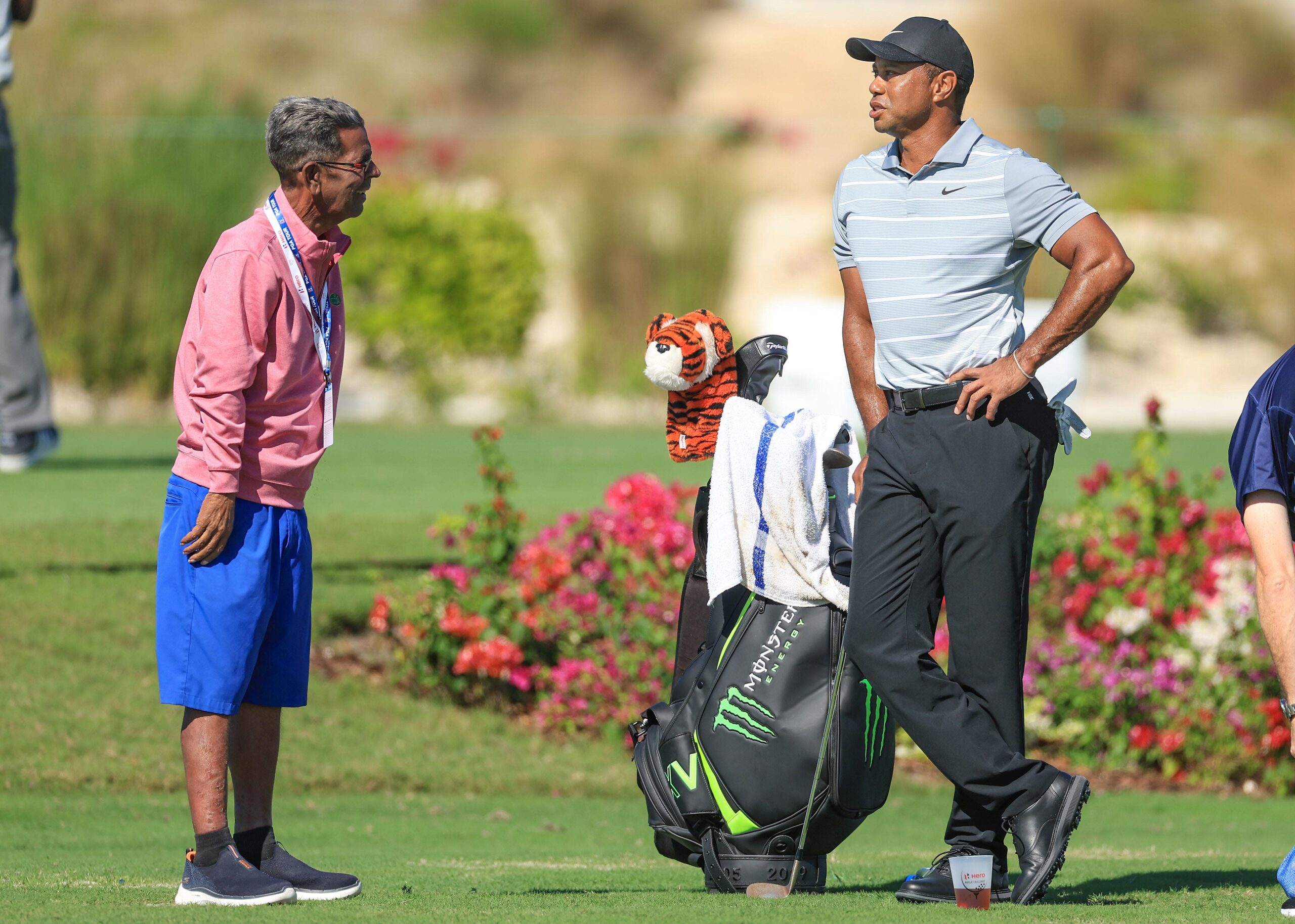 You are currently viewing Tiger Woods comments on death of former Golfweek/USA Today reporter Steve DiMeglio