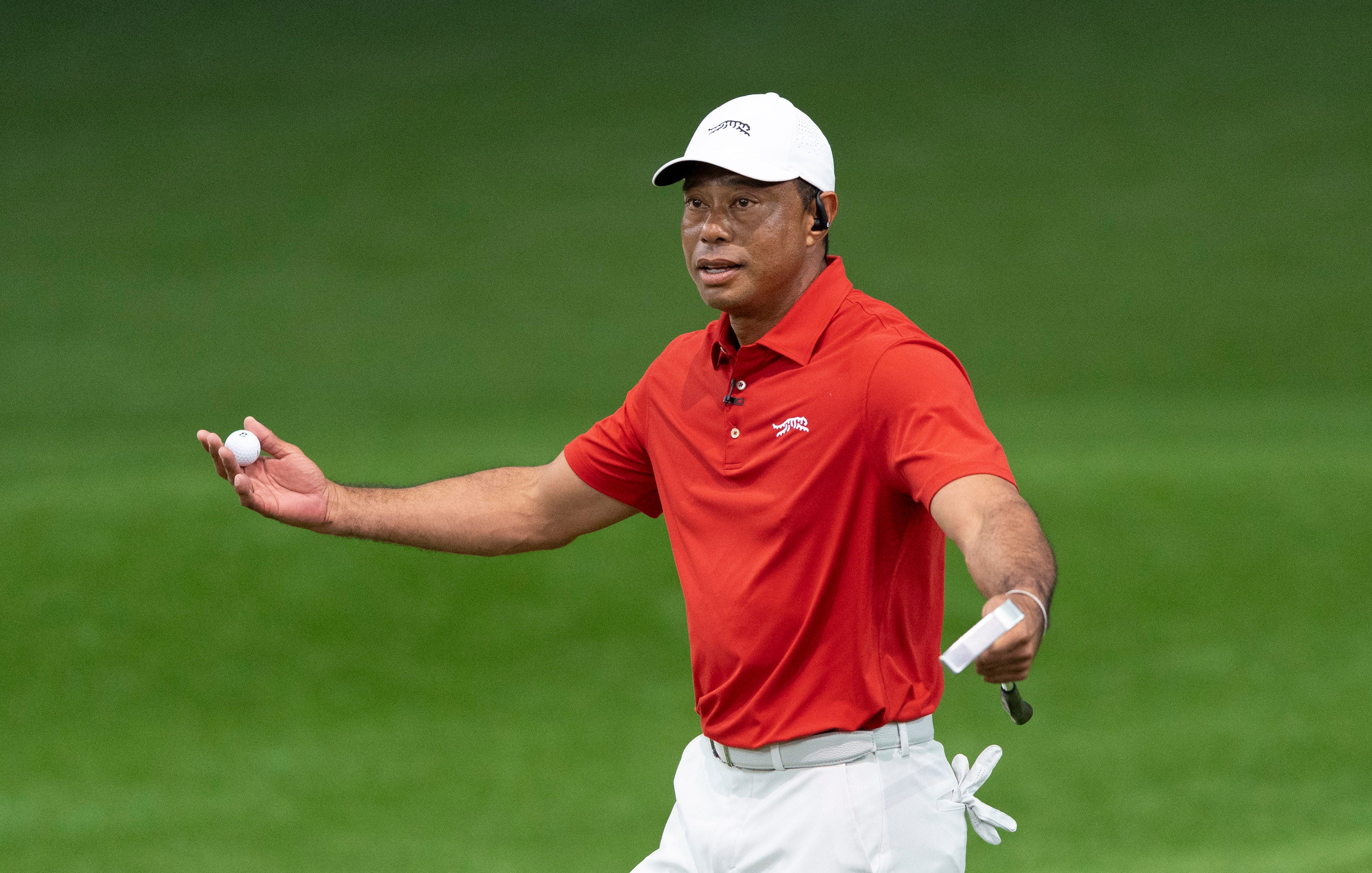 Read more about the article Tiger Woods is back, and so is PGA Tour 2K25! When is the golf video game release date?