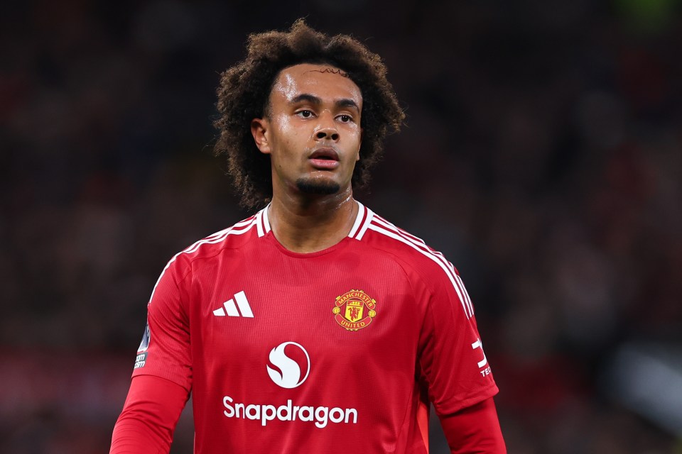 You are currently viewing Manchester United receive shock transfer swap offer from Juventus for striker Joshua Zirkzee