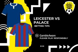 Read more about the article Leicester City vs Crystal Palace predictions, odds and betting tips